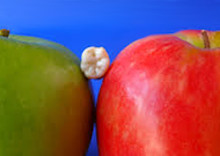 5 Nutrition Tips for Good Oral Health
